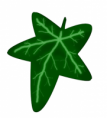 /album/galerie-photos/ivy-noel-png/